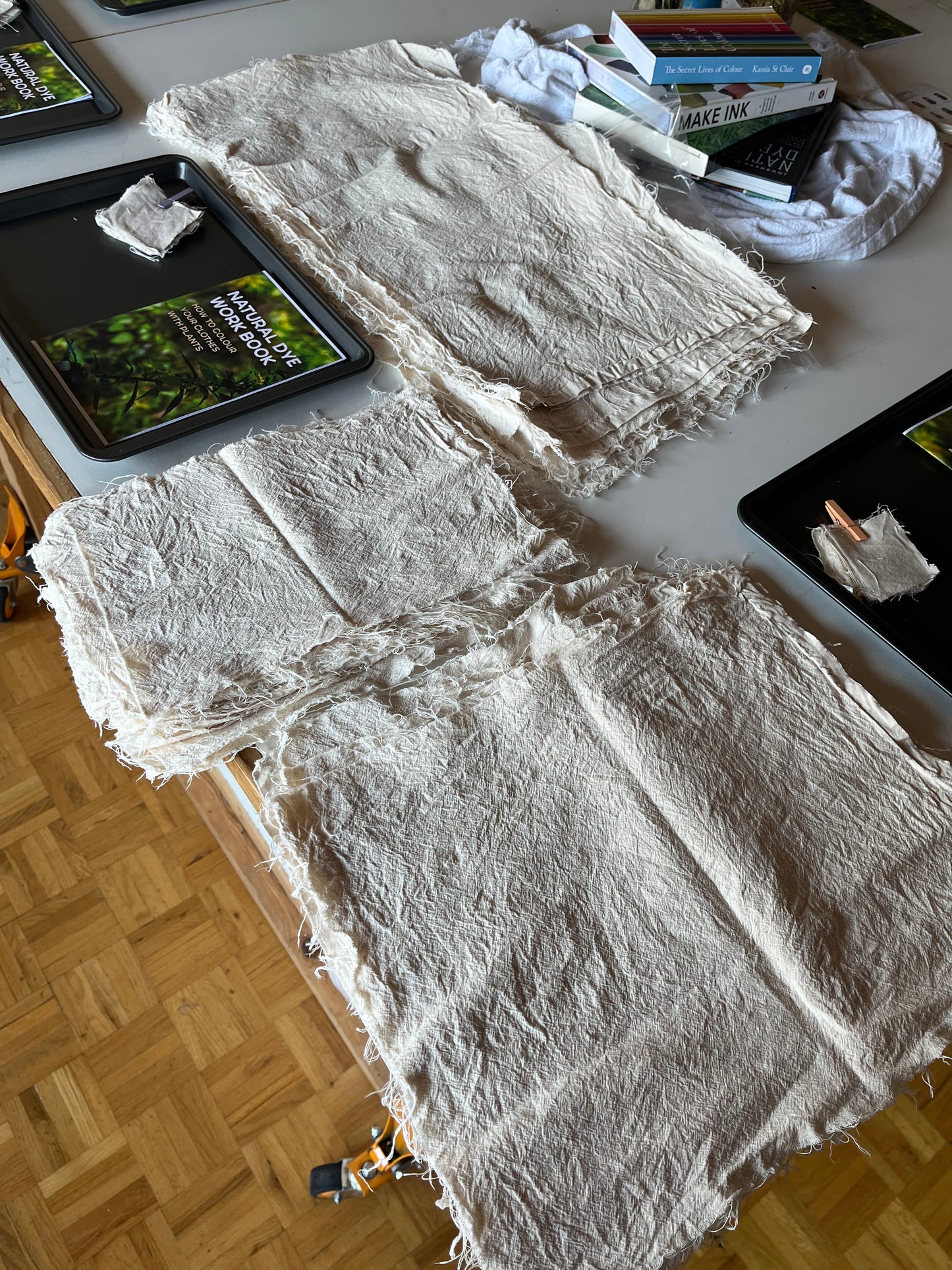 Natural Dye Class *New*