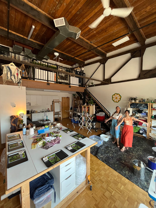 Natural Dye Class *New*