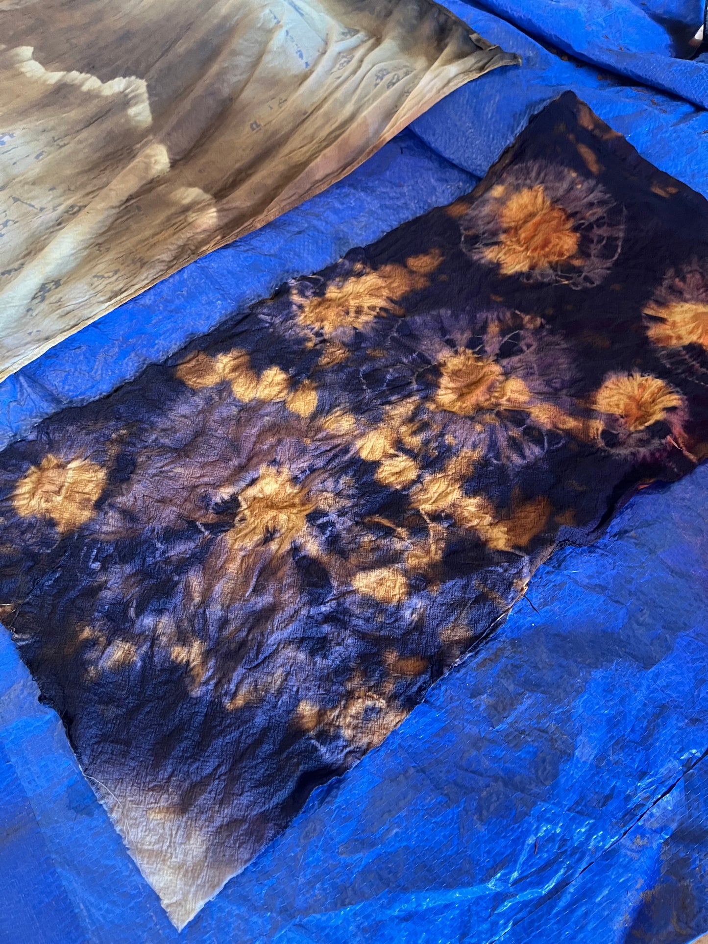Natural Dye Class *New*
