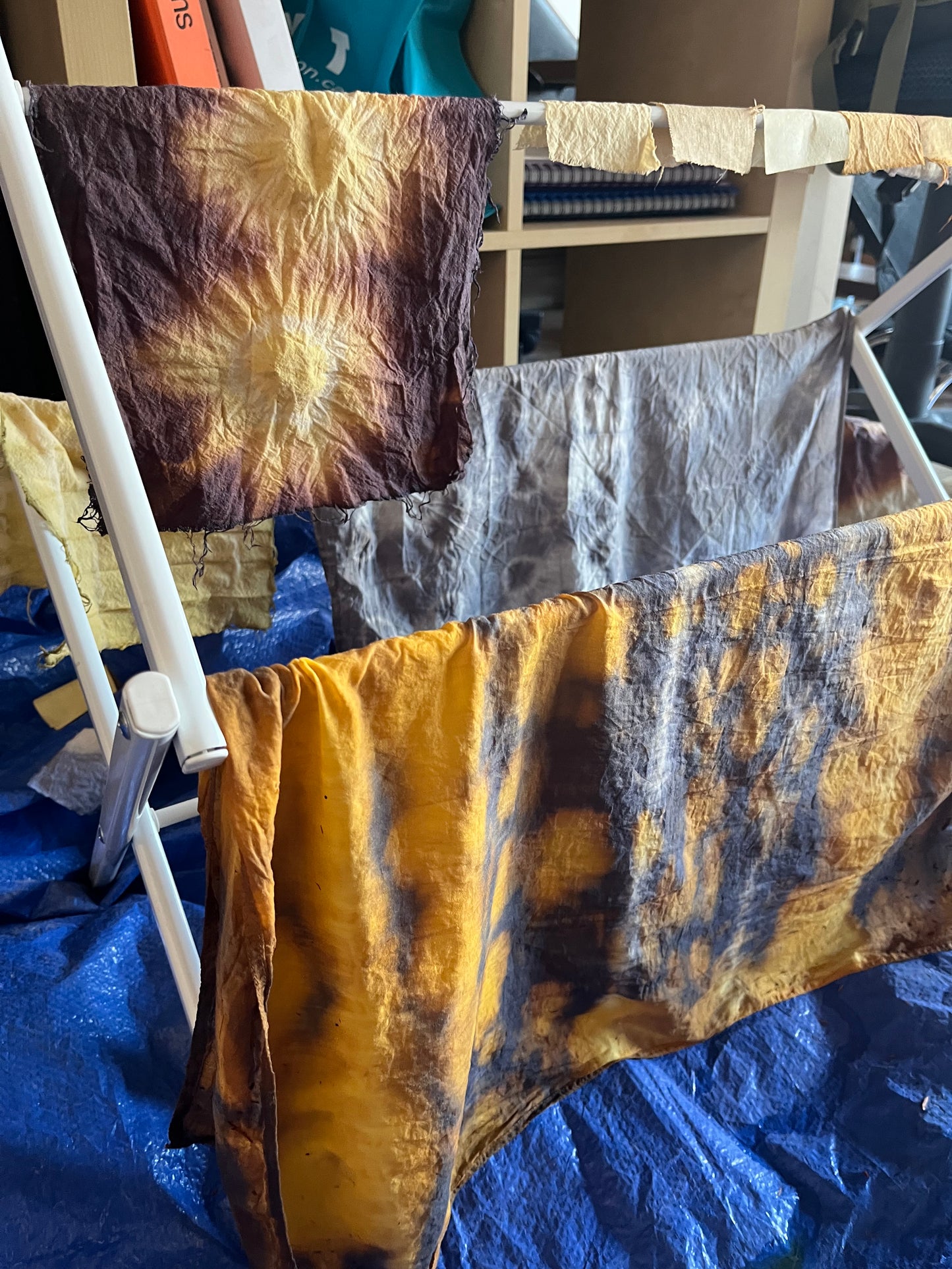 Natural Dye Class *New*